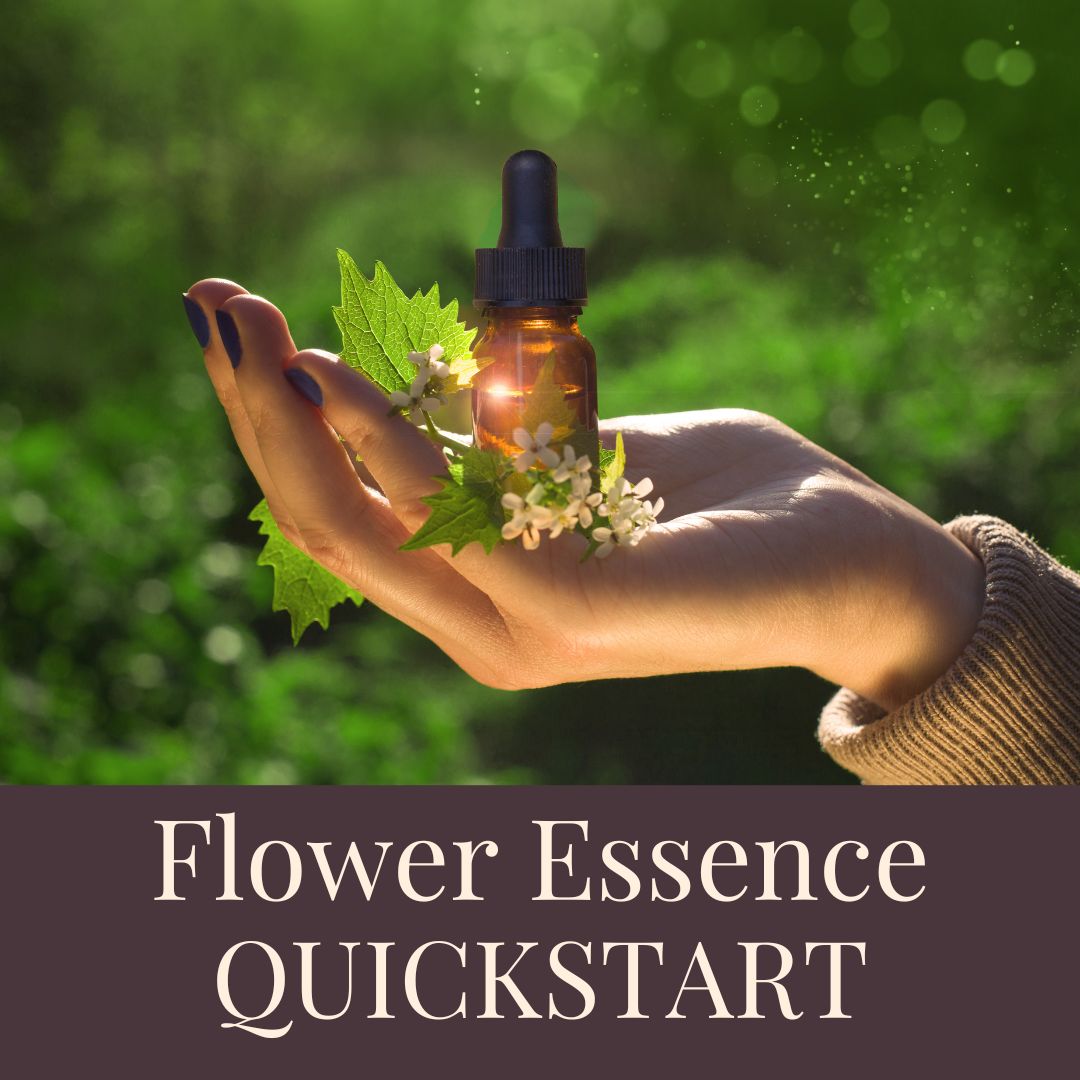 The School for Flower Essence Studies