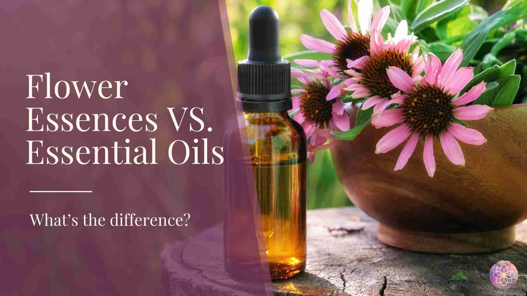 Flower Essences vs. Essential Oils What’s the Difference? Flower