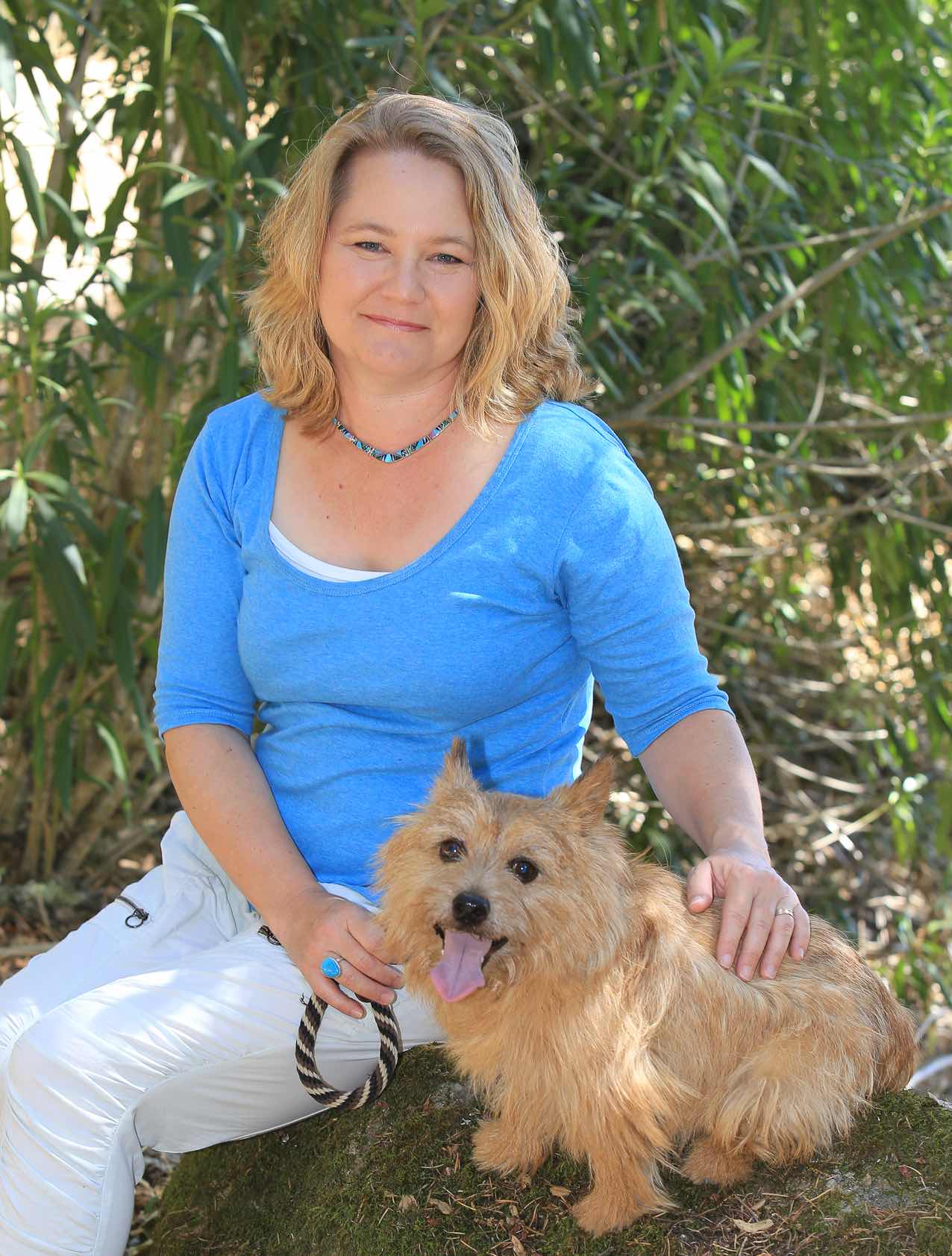 Canine Care Bach Flowers for Dogs Course Flower Essence Studies