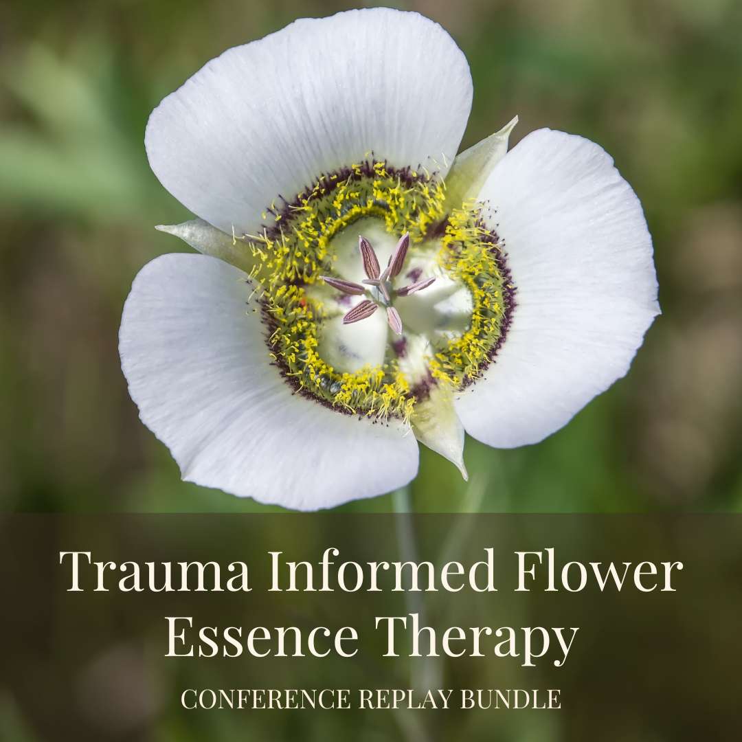 The School for Flower Essence Studies