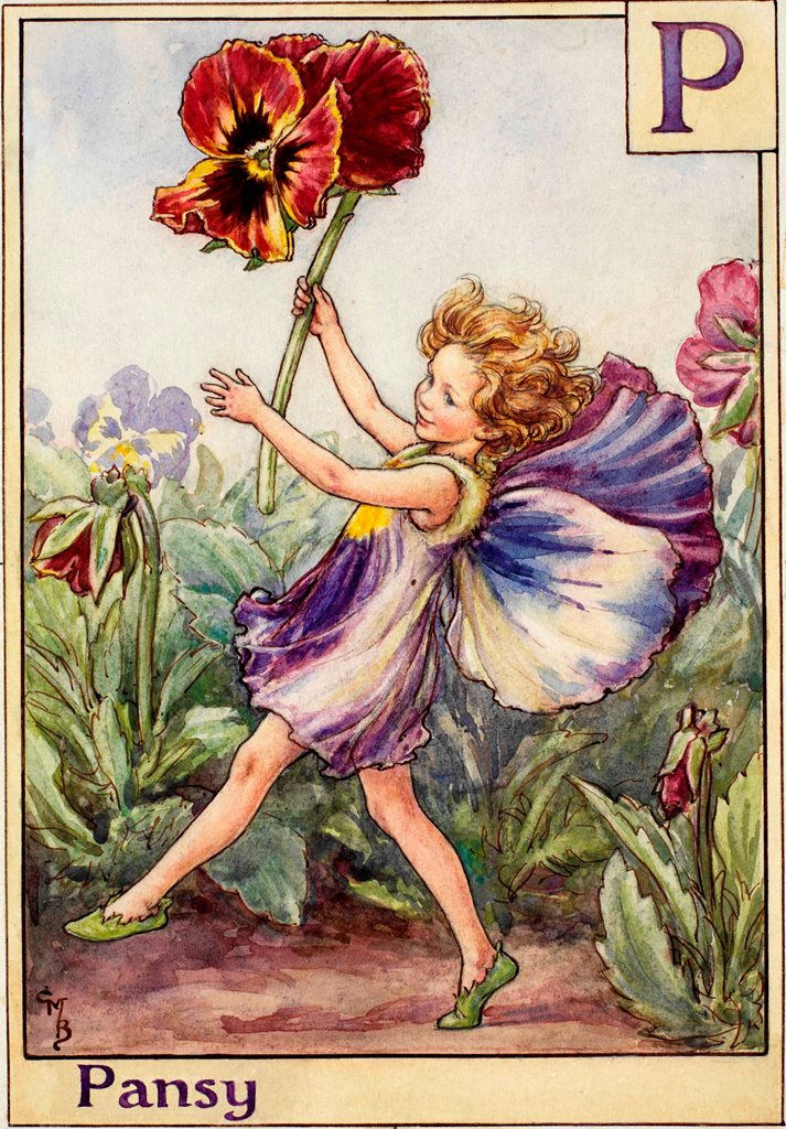 The Pansy Fairy Flower Fairies