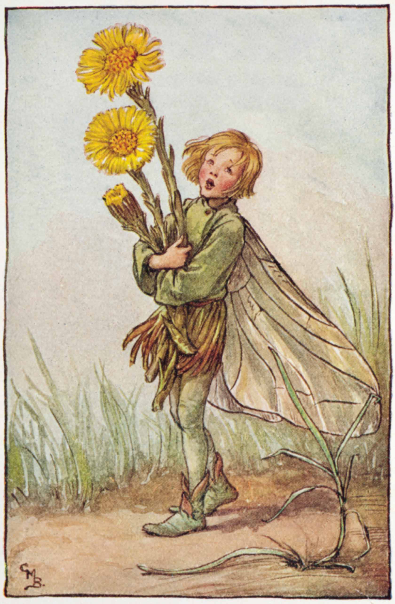 The Colt'sFoot Fairy Flower Fairies