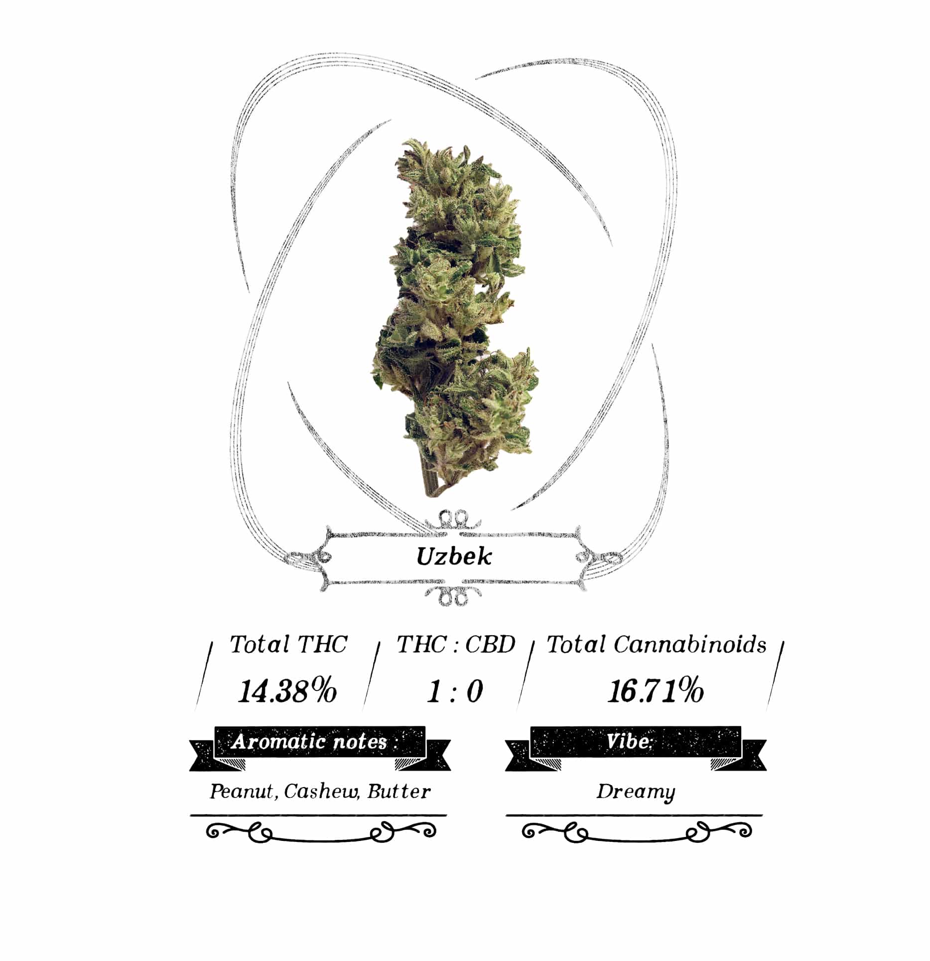 Wholesale Flower First