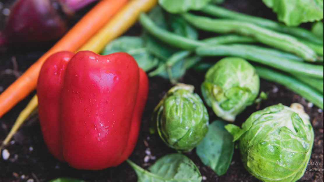 Best vegetable Plants to grow at home Flower Flourish