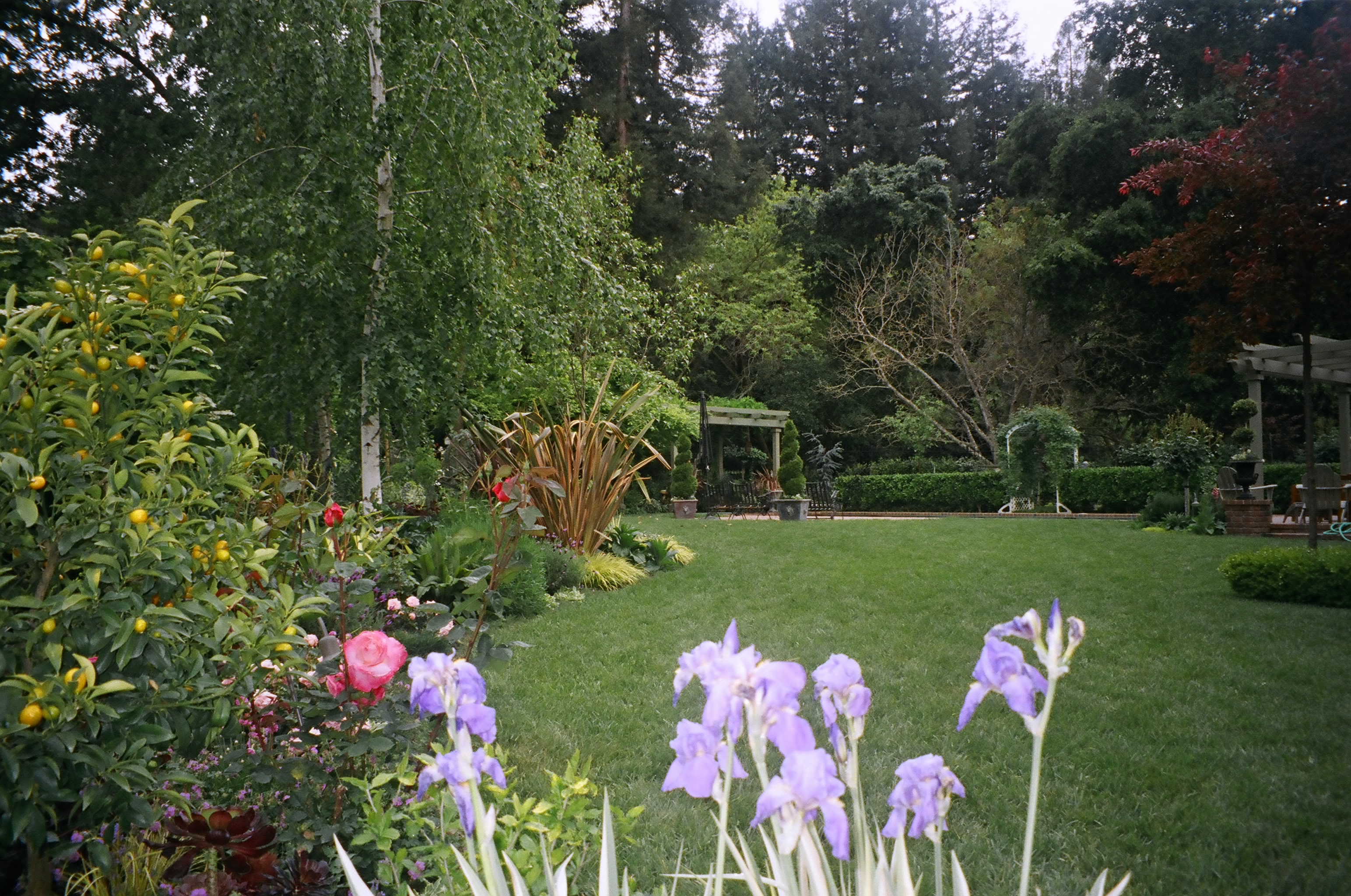 The Flower Garden Company