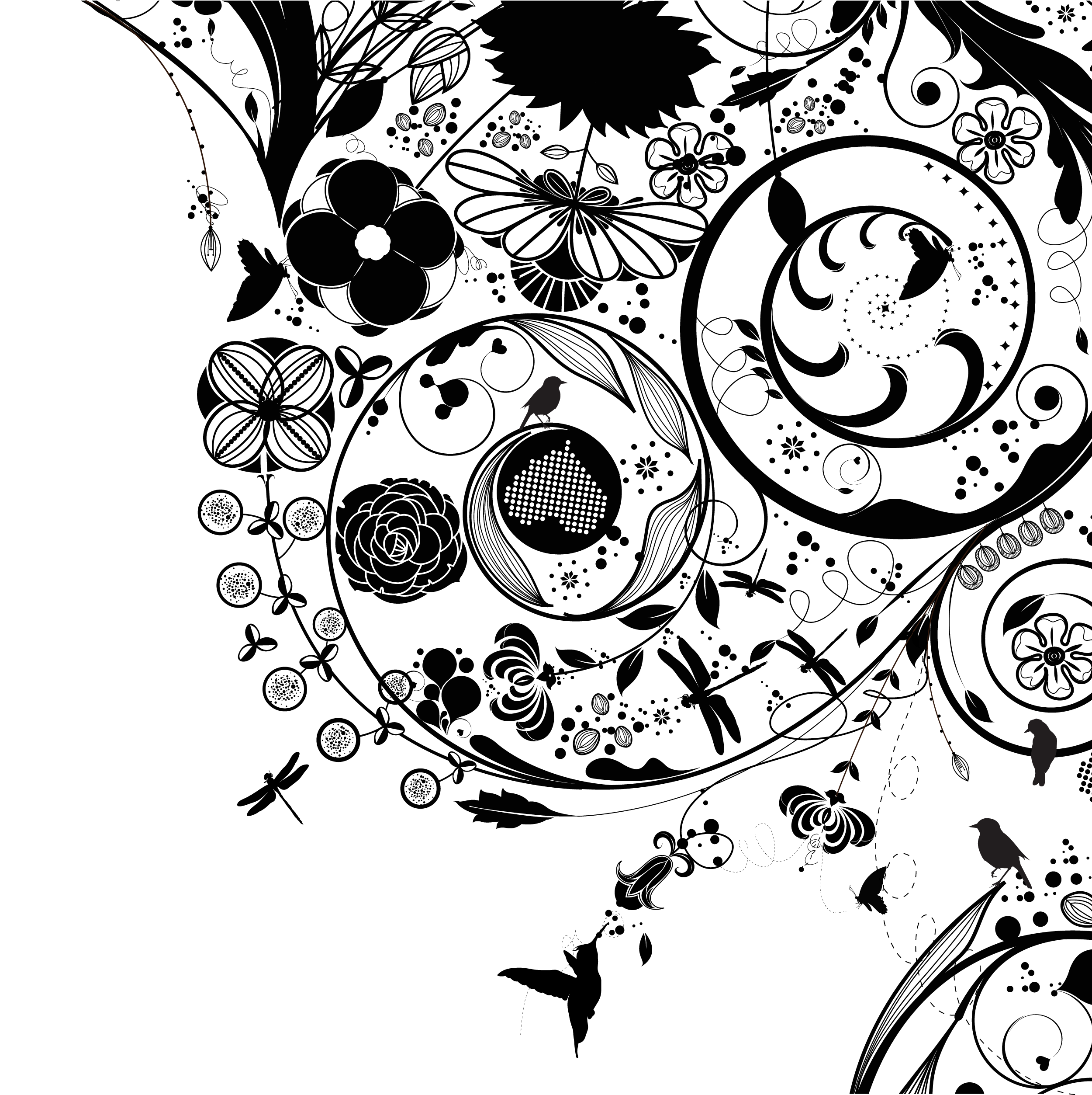 壁紙 モノクロ イラストの画像231点｜完全無料画像検索のプリ画像💓Bygmo 花のイラスト・フリー素材／壁紙・背景No.835『白黒・渦巻き状・鳥』