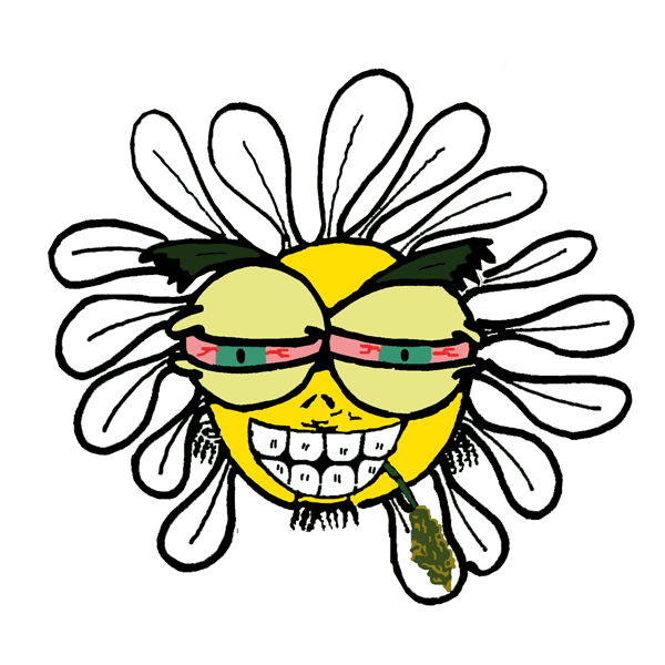 Flower Indoor Grow Shop Flower Indoor