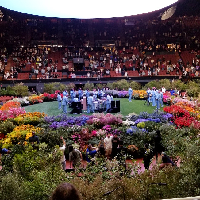 Florist Profile Playa Del Rey Florist flowerlink