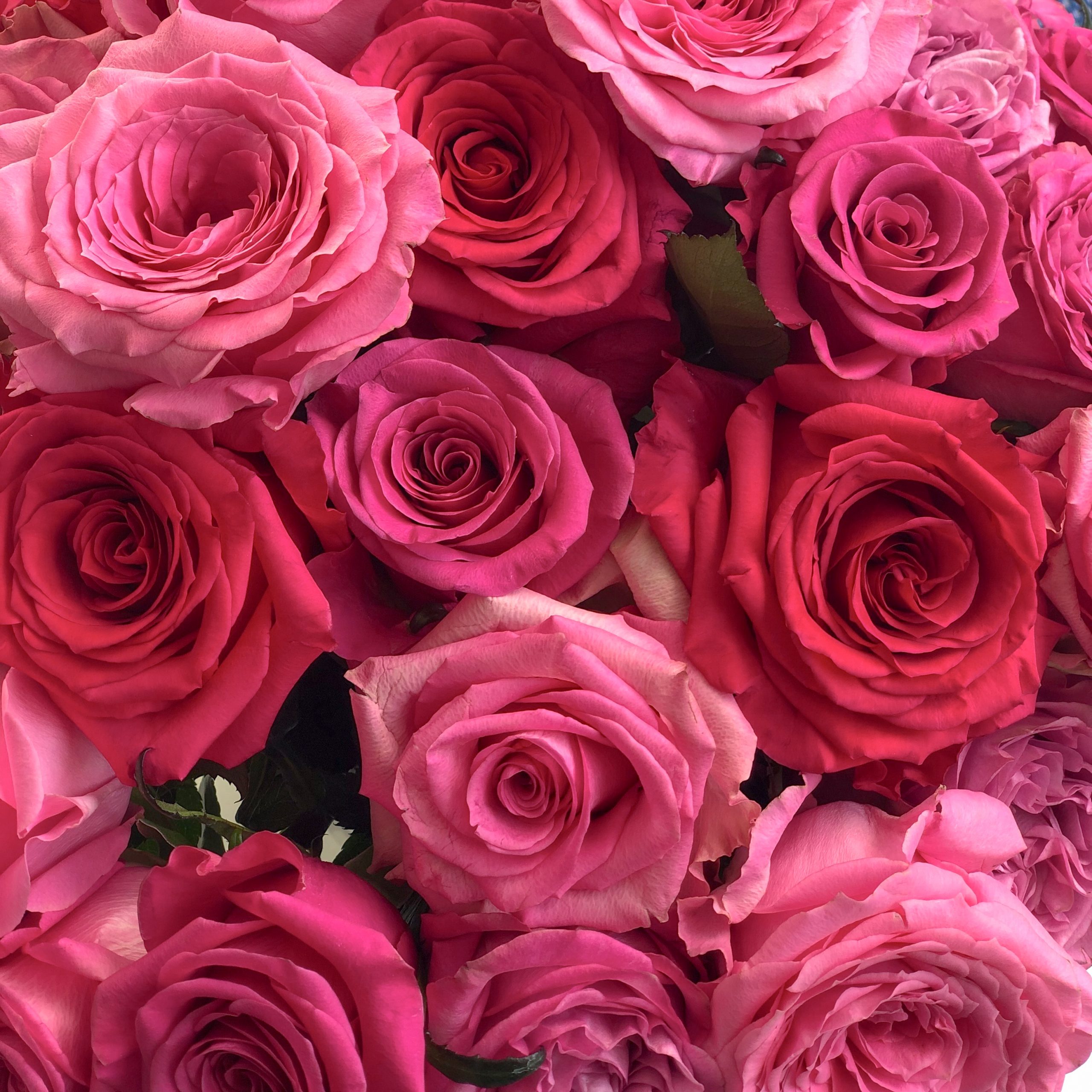Natalia’s 2020 Valentine’s Day Rose Variety Favorites flowerlink