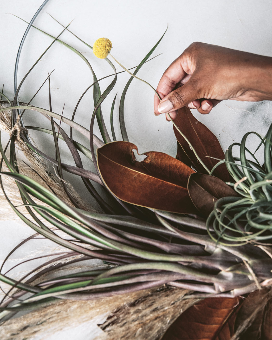 How to Make an Air Plant Wreath Flower Magazine