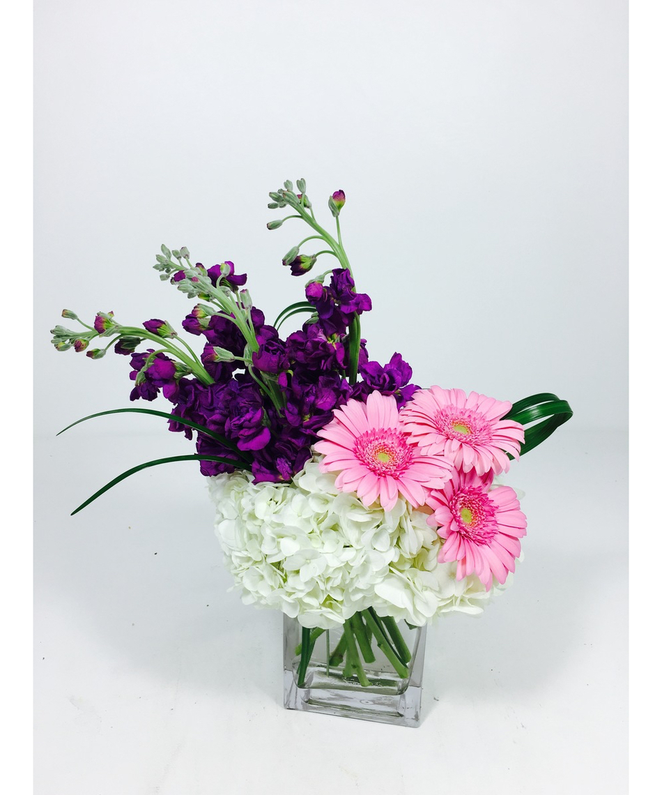 Flowers & Plants to New Neighbors Toblers Flowers Blog