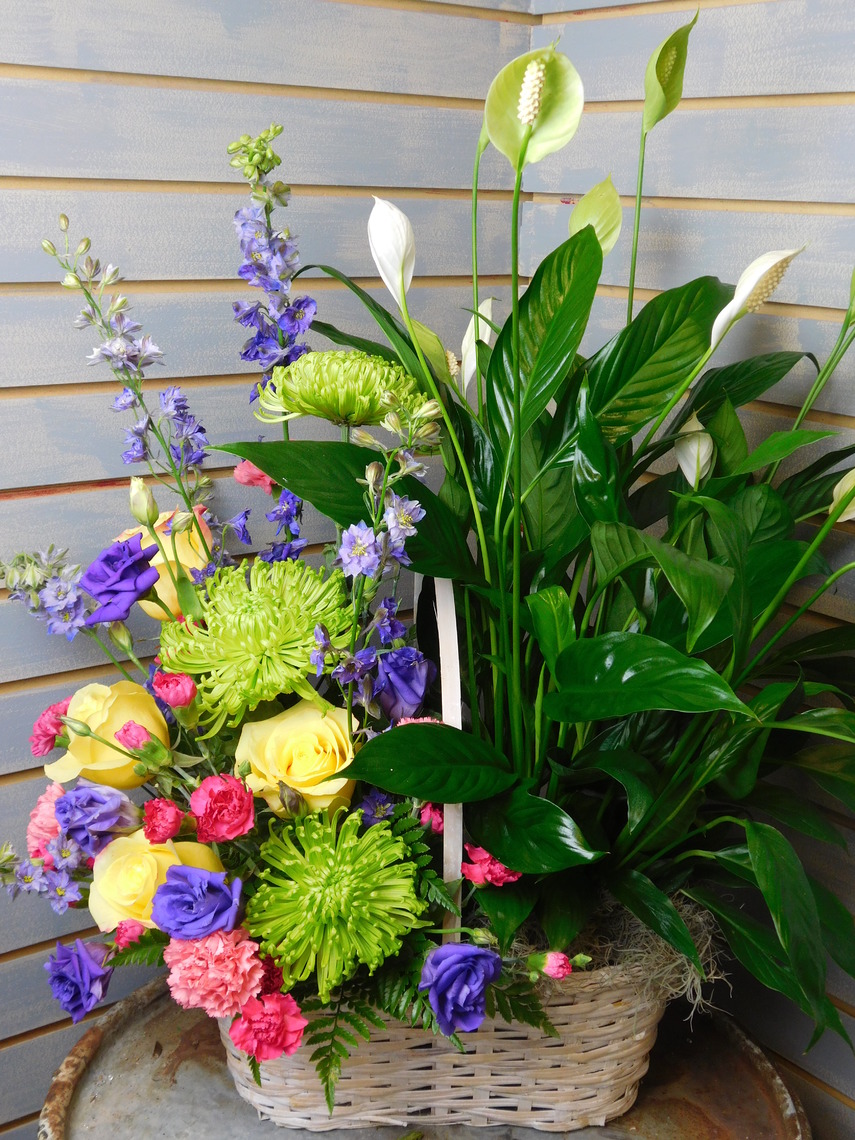 Neighbors to their New Home Port Charlotte Florist Blog