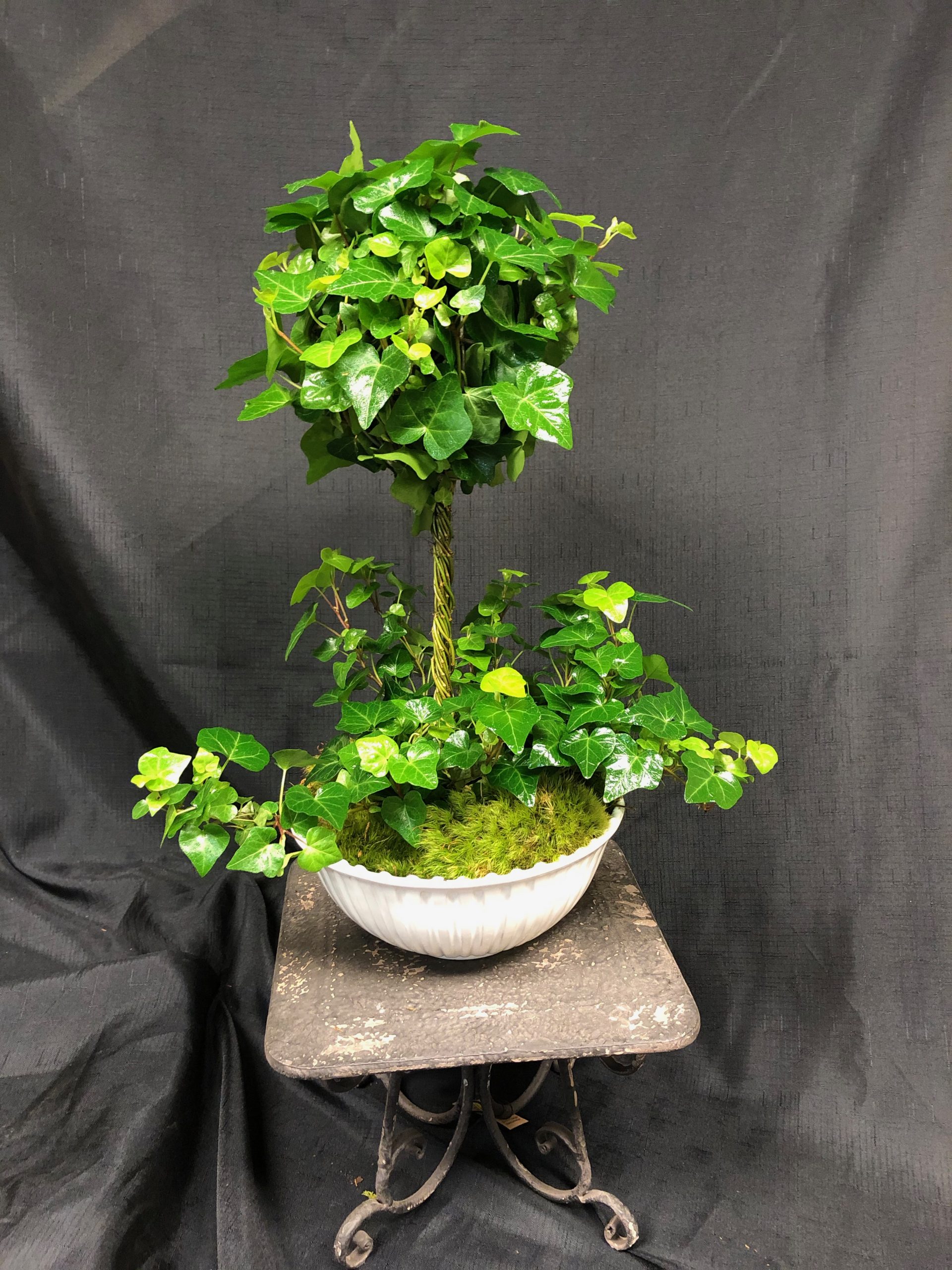 Ivy Topiary 1 ball Flower Mart