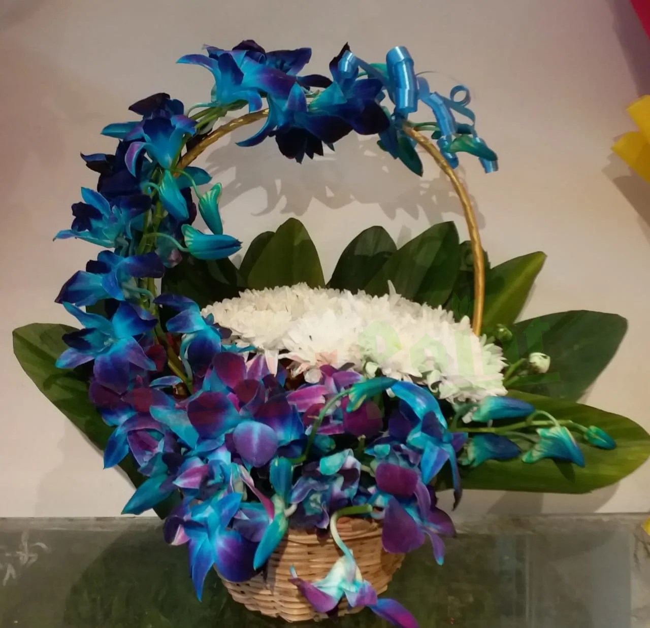 Exotic Arrangement of Blue Orchids Flower Point Jalandhar Florist