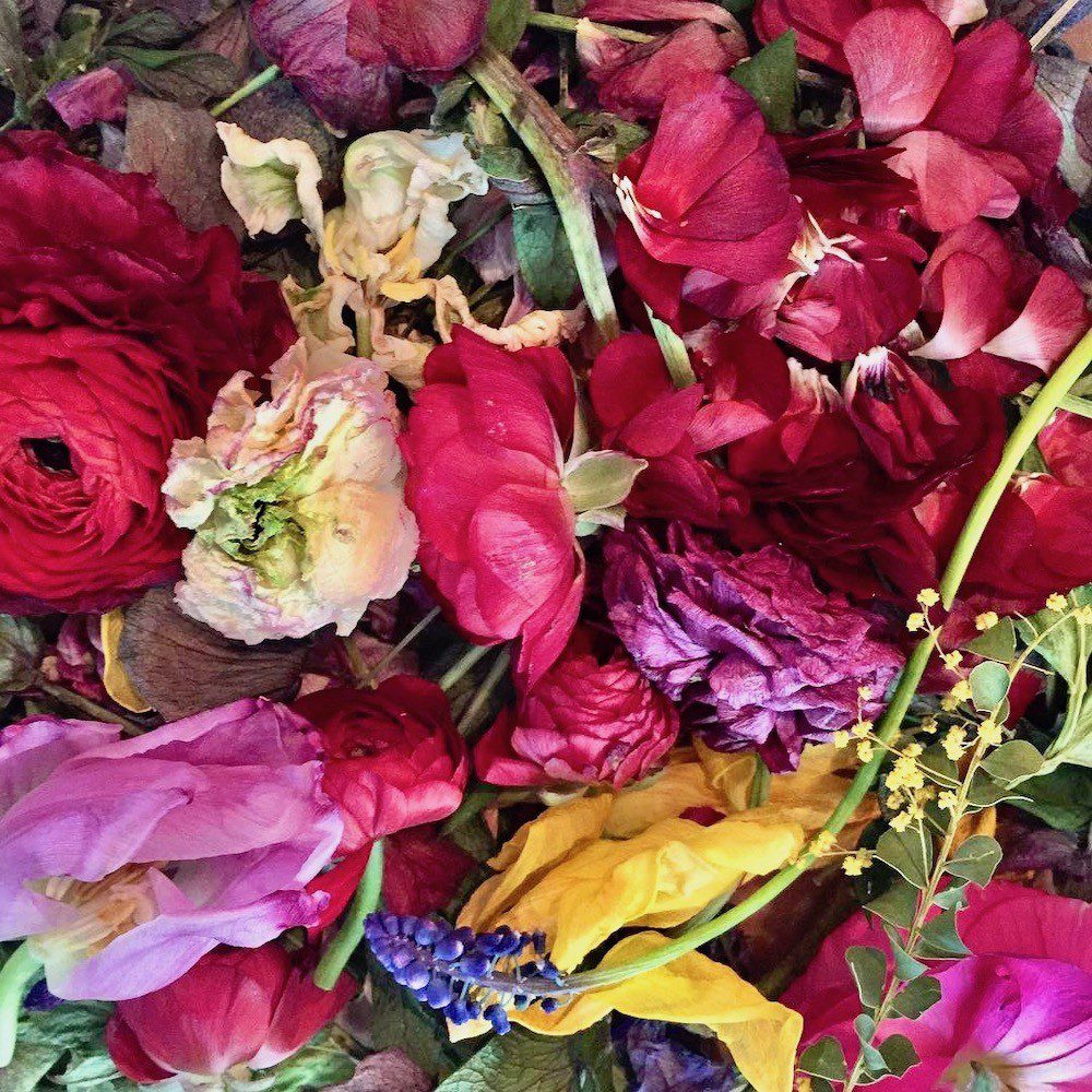 Tips for Composting Blooms on National Composting Day