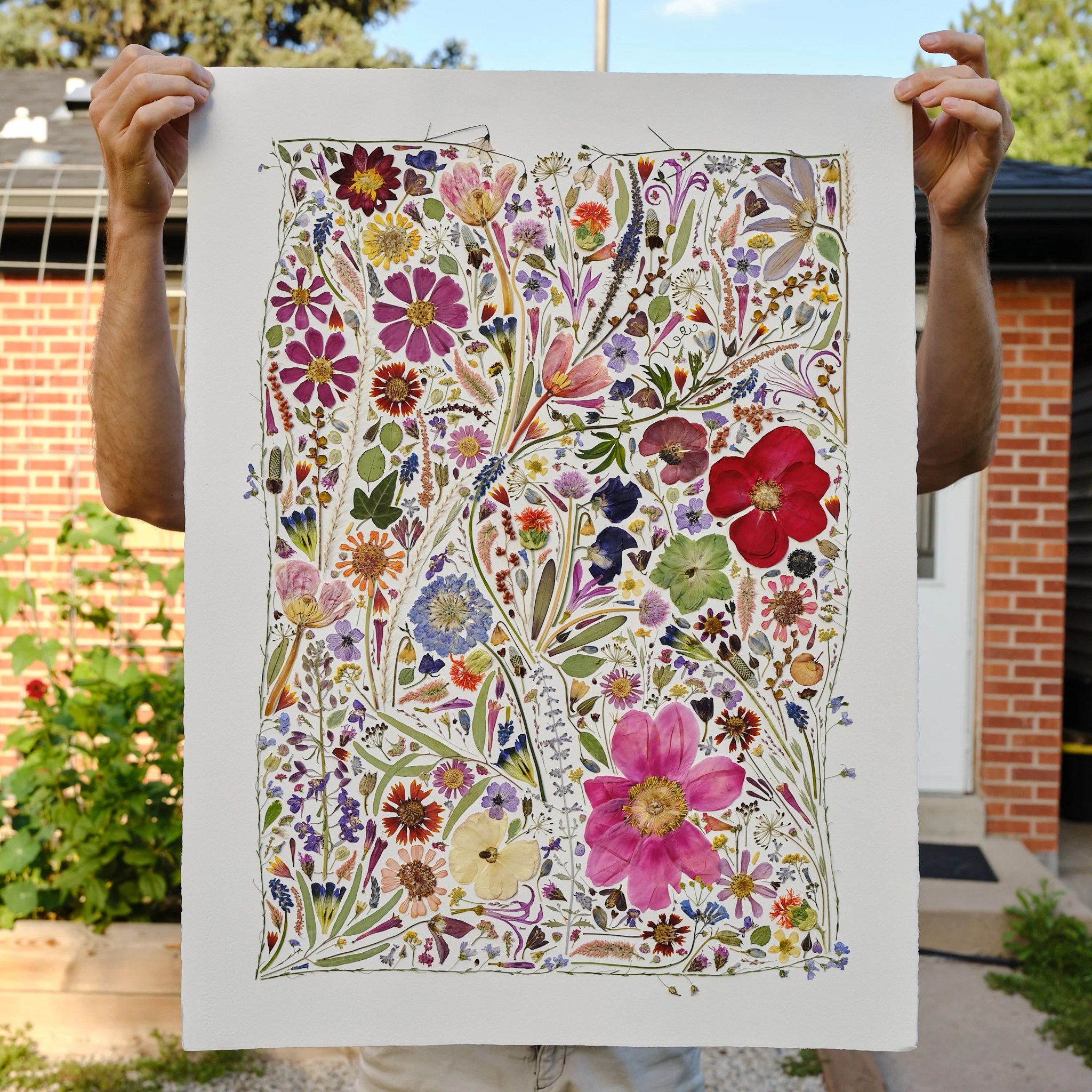 Original Pressed Flower Art Flower Press Studio