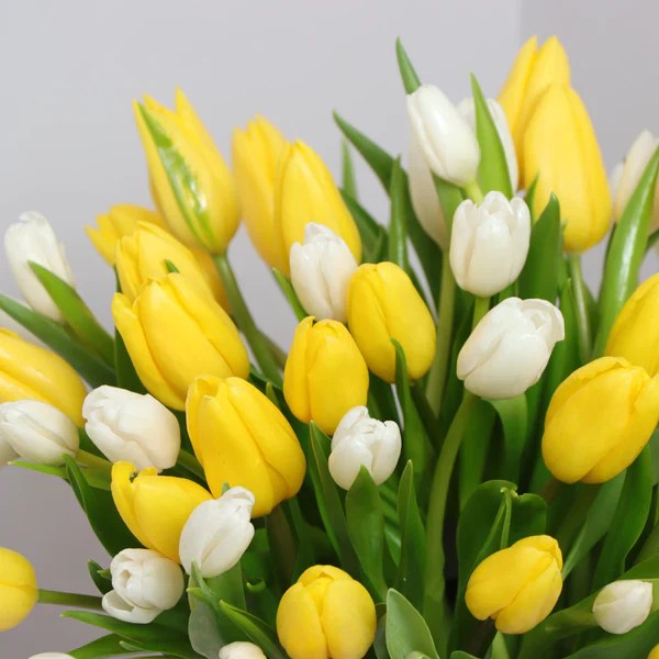 What is the flower for March 8th? Flowers' Square Blog Flowers Square