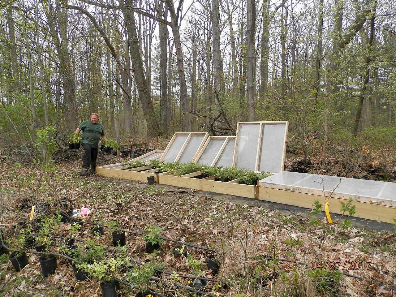 garden; previous picture newsletters each one a slide show from the flowering shrub farm in