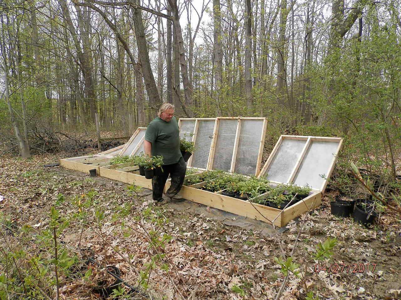 garden; previous picture newsletters each one a slide show from the flowering shrub farm in