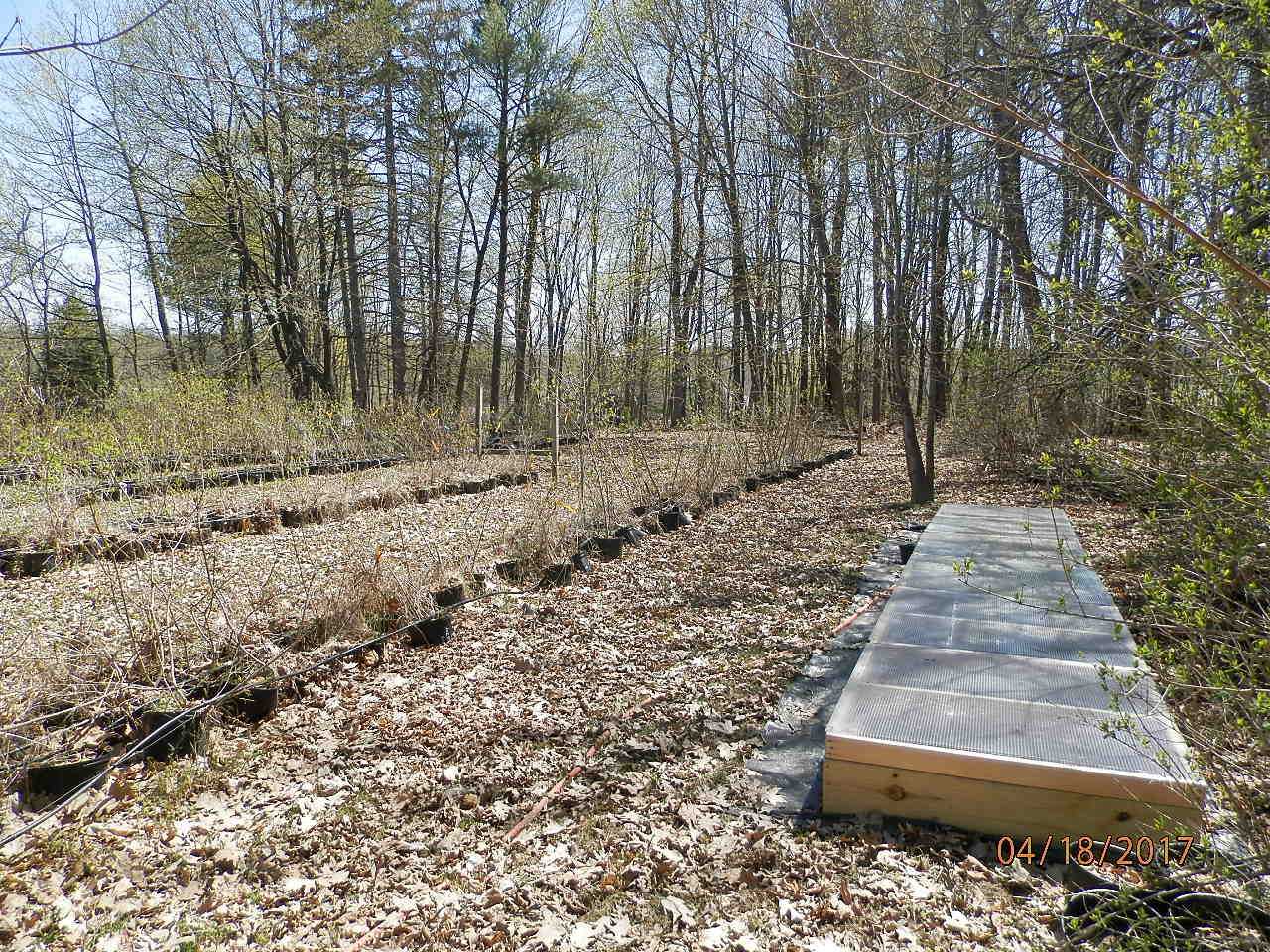 garden; previous picture newsletters each one a slide show from the flowering shrub farm in