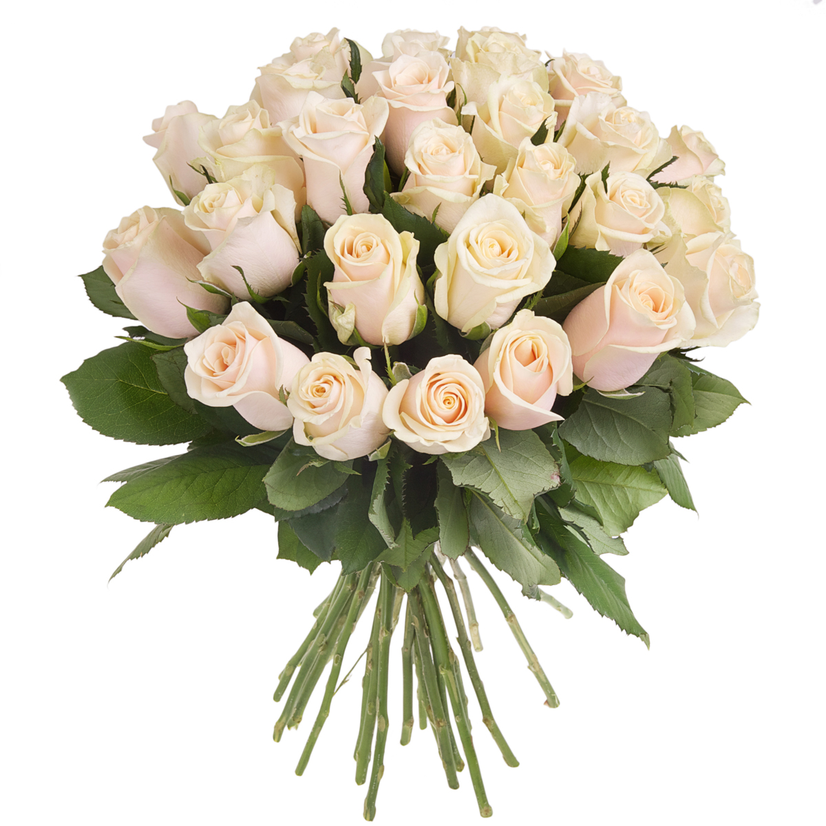 30 White roses Flowers to Mallorca