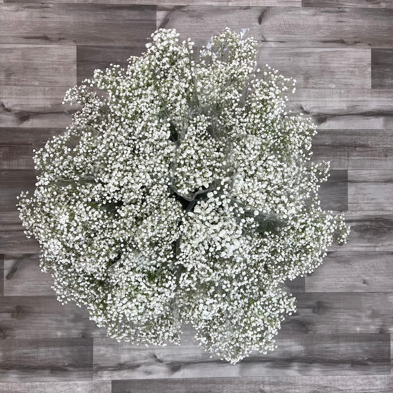 Wholesale Miami Flowers Bulk Flowers Online Flowers & Services