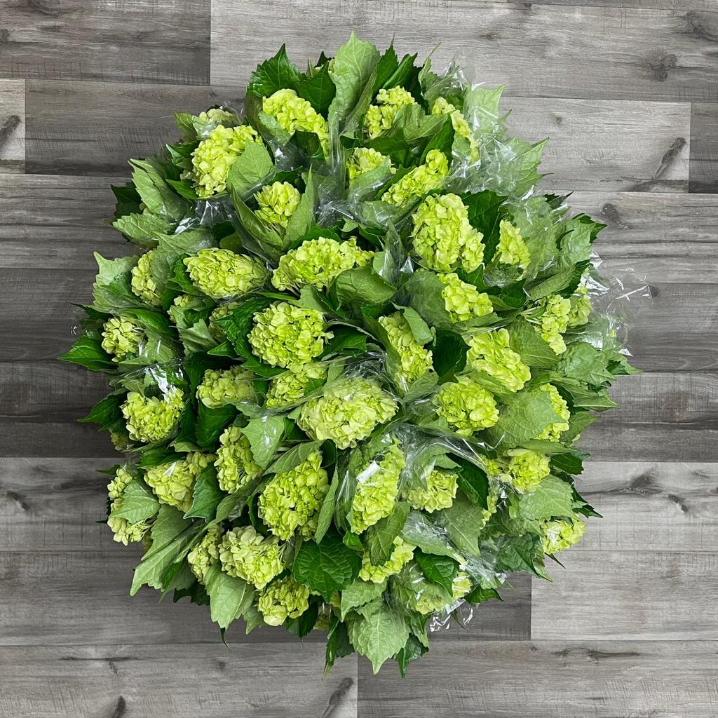 Wholesale Miami Flowers Bulk Flowers Online Flowers & Services