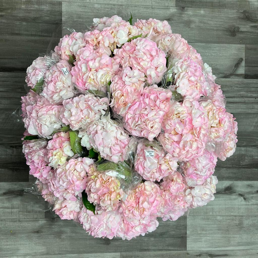 Wholesale Miami Flowers Bulk Flowers Online Flowers & Services