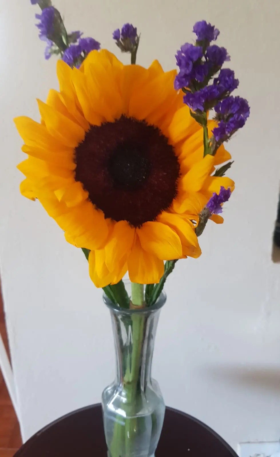 Single Sunflower in a Vase Hastings Flowermart