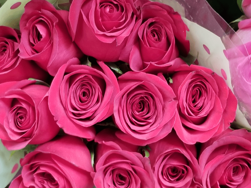 Home Hastings Flower Mart Exotic Fresh Flowers In Barbados