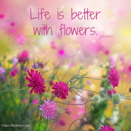 Better With Flowers Flowers Bloom Hope