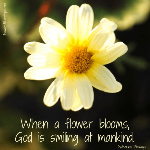 Biblical Hope Quotes Flowers Bloom Hope