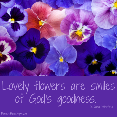 God's Goodness Flowers Bloom Hope