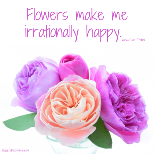 flowers make me happy quotes Flower Quotes - Flowers Bloom Hope
