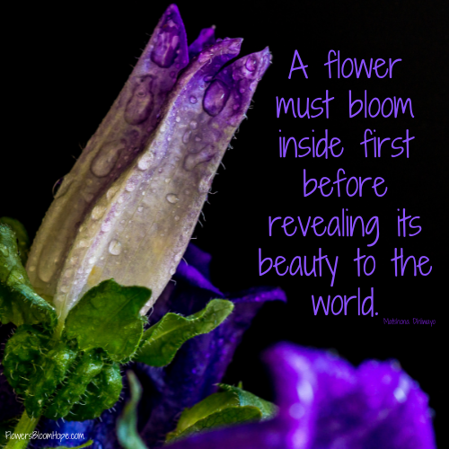 Bloom Inside Flowers Bloom Hope