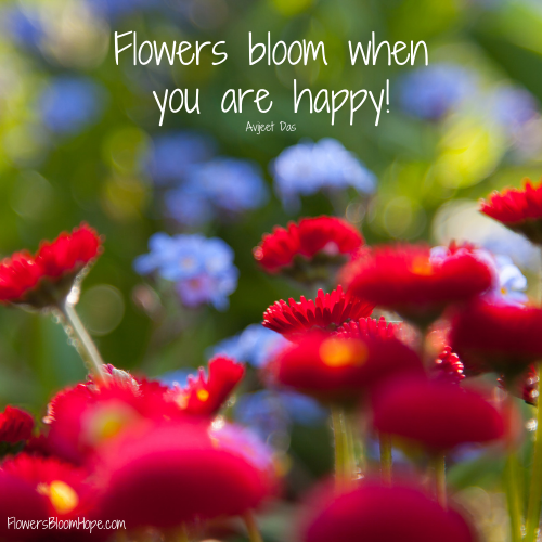 Happy Bloom Flowers Bloom Hope