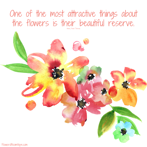 Beautiful Flower Images With Quotes Best Flower Site