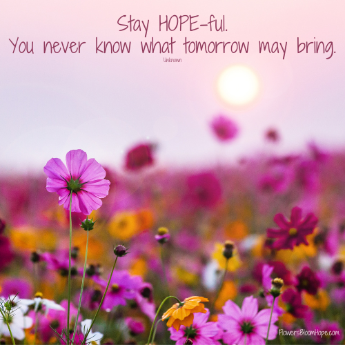 HOPEful Flowers Bloom Hope