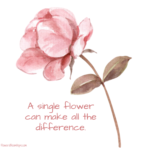 Single Flower Difference Flowers Bloom Hope