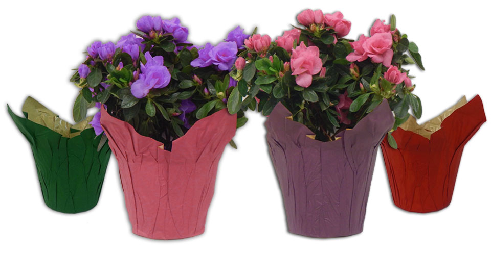 sleeves wraps & rollsWholesale floral packaging & supplies