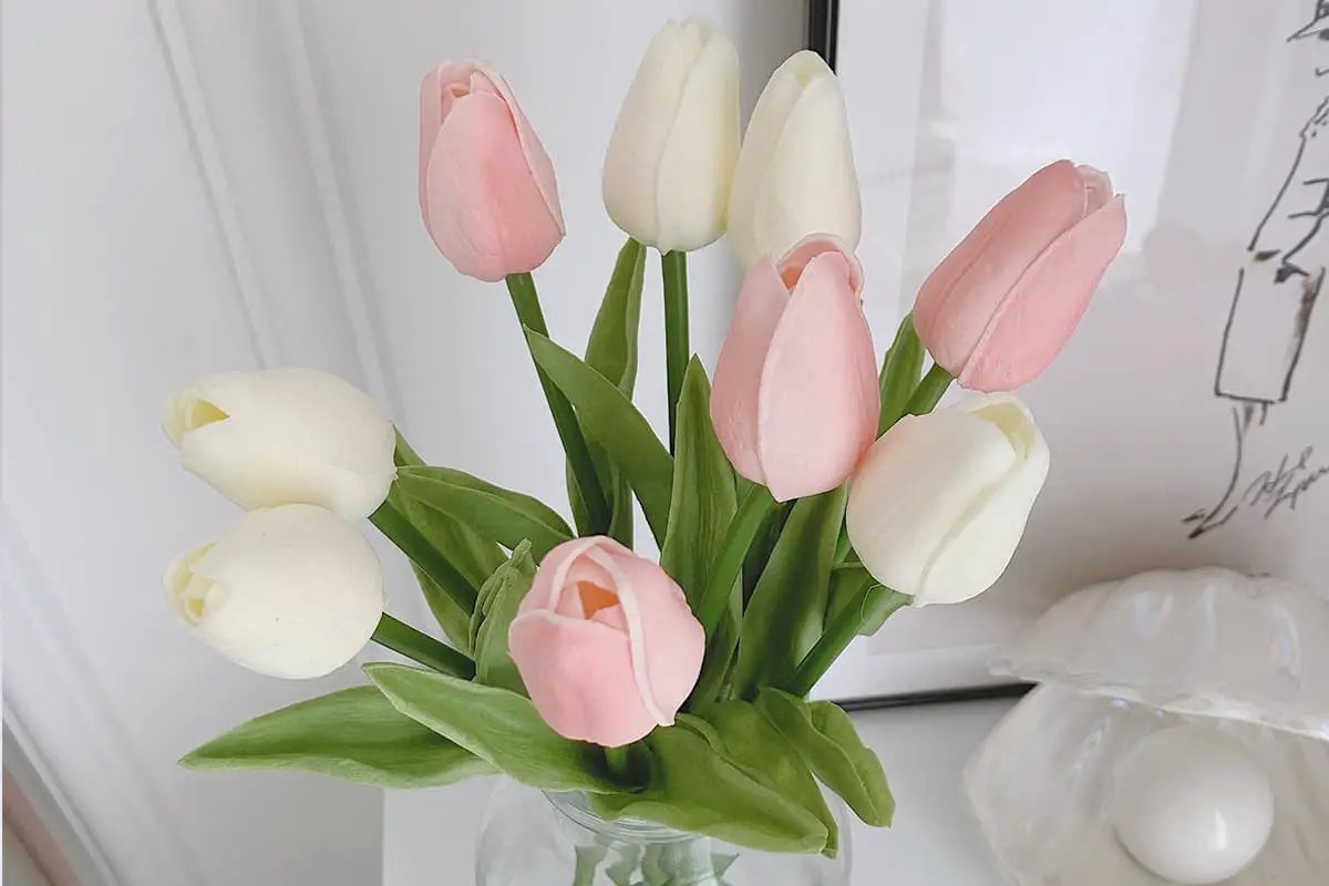 17 Kinds of Flowers Suitable for Mother’s Birthday FlowersLib
