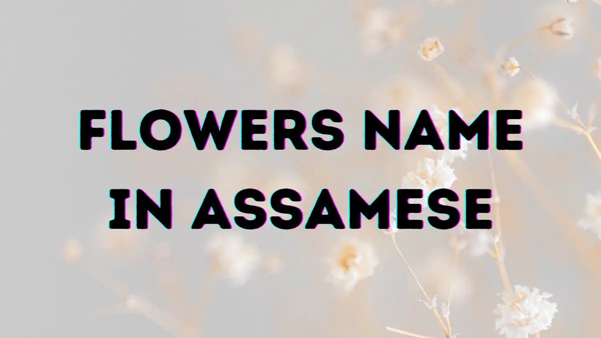 Wondrous Flowers Name in Assamese Language With Photos