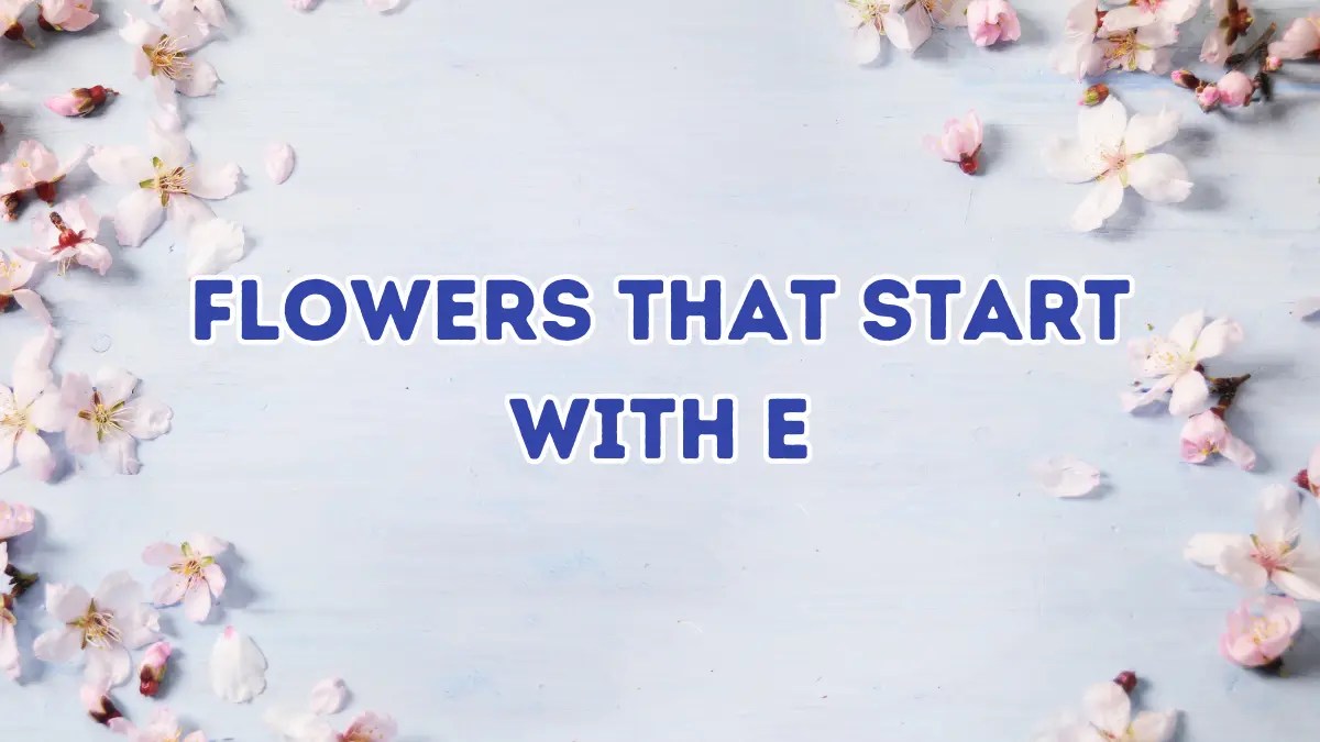 12+ Enthralling Flowers Beginning With E Complete Guide
