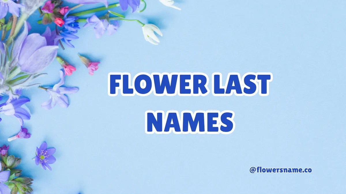 25+ Pretty Flower Last Names For Girls And Boys WIth Meaning