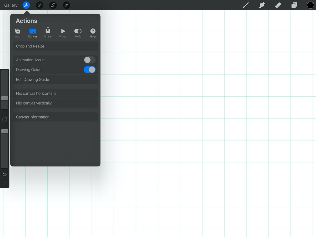 Turning on Drawing Guide Procreate