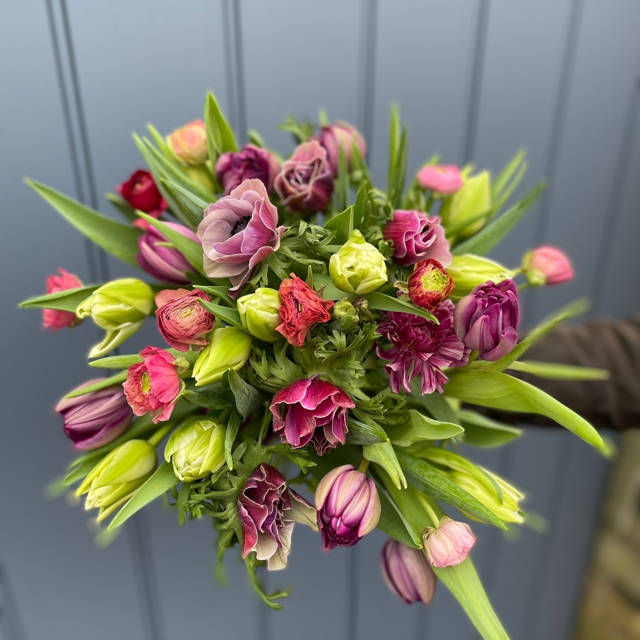 Spring Love Flowers of Bath