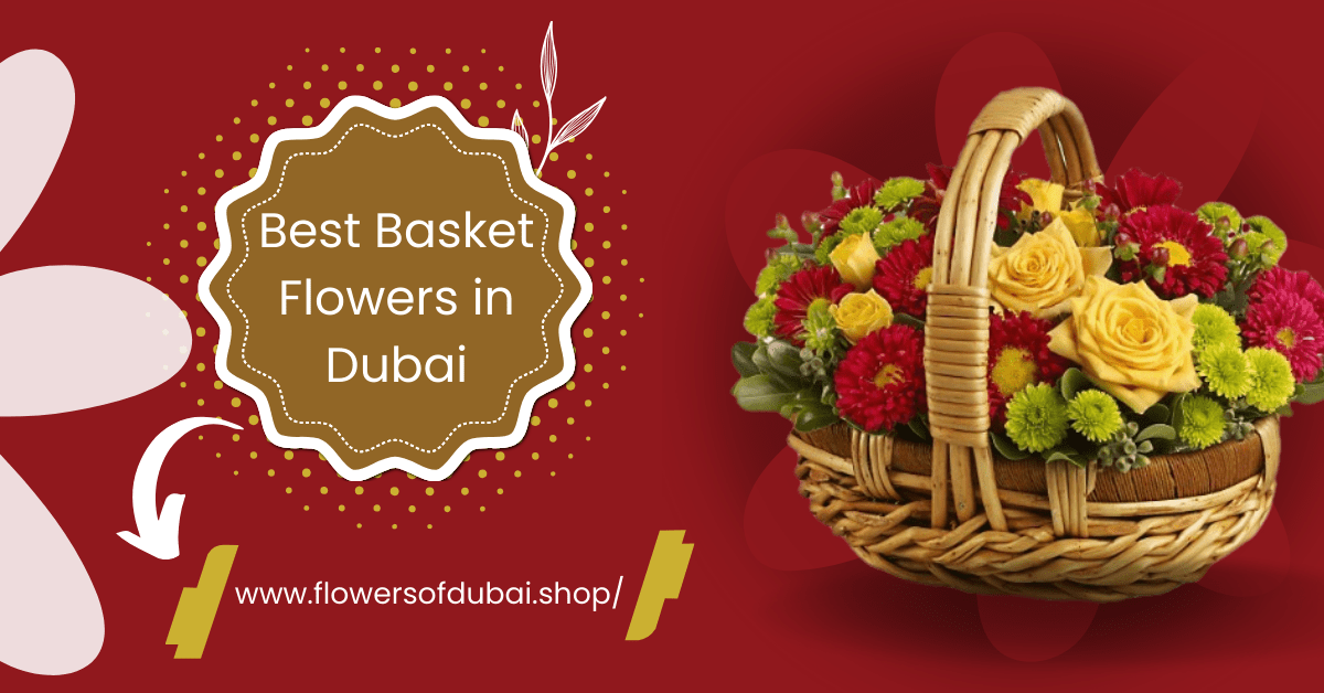 Best Online Flowers Delivery for Black Tulip Flowers in Dubai