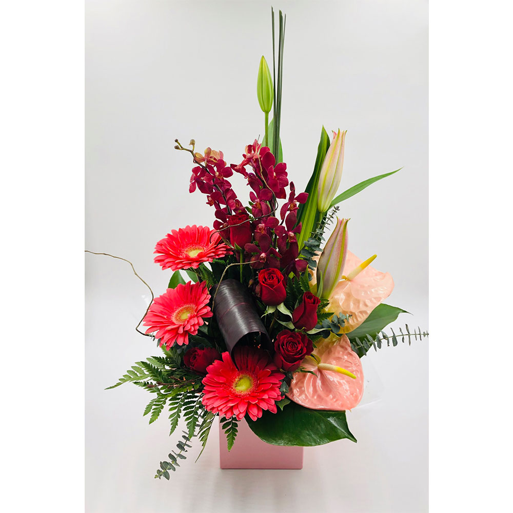 Victoria Flowers on Plenty