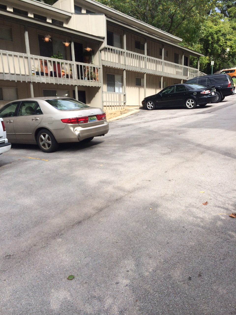 Shadowood Apartments Flowers Properties