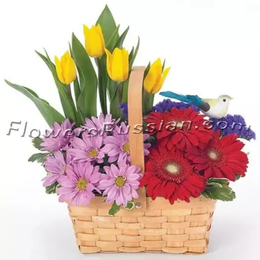 Spring Flower Garden » Flower Delivery To Russia